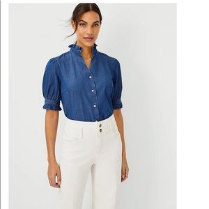 Ann Taylor - Beautiful deep chambray. New this season (sold out fast!)